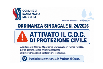 Immagine esplicativa delle funzioni delegate al COC