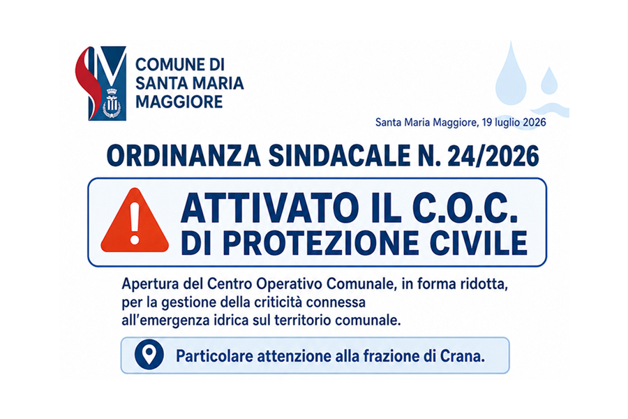 Immagine esplicativa delle funzioni delegate al COC